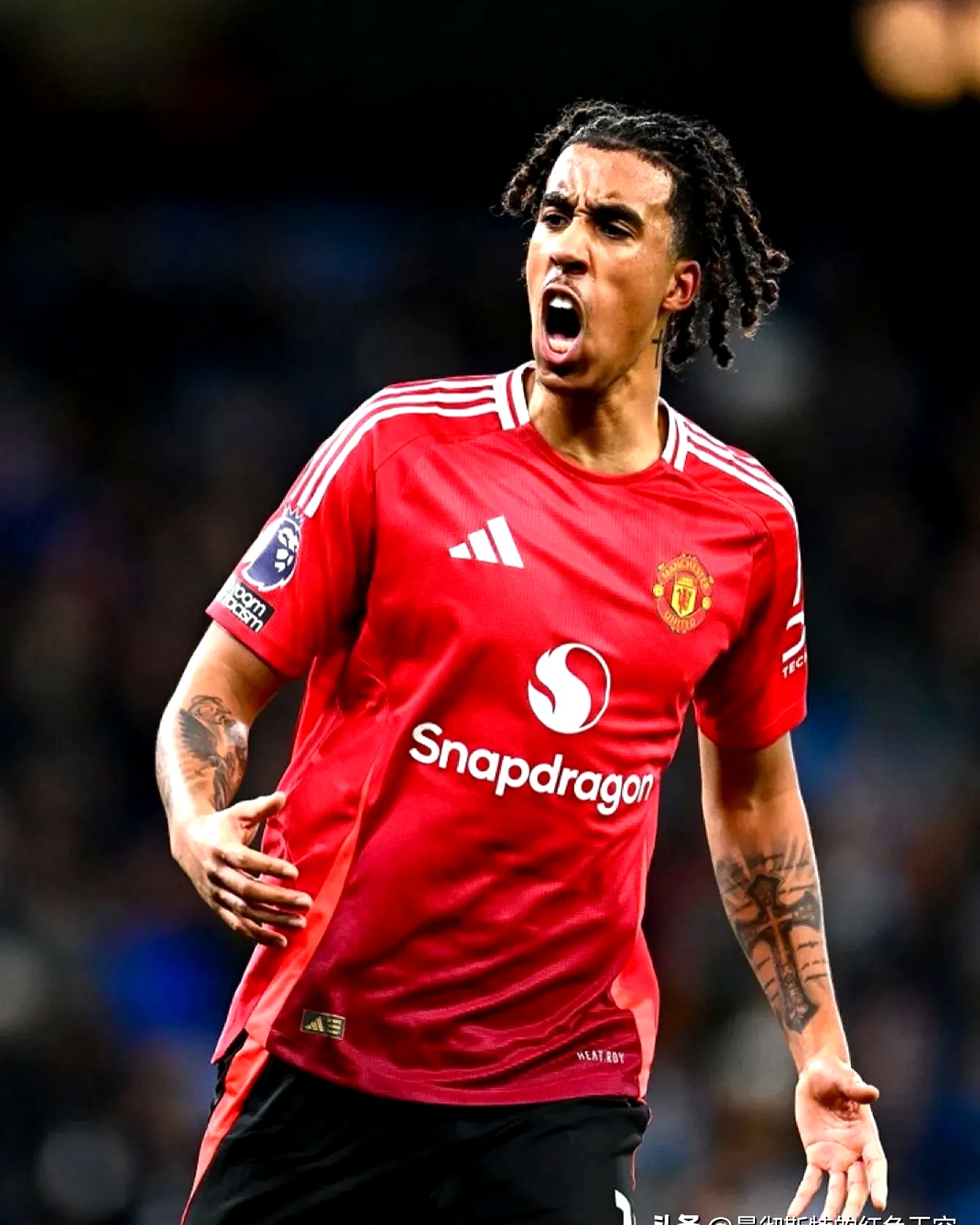 dialectical中文翻译