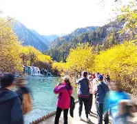 关于多特蒙德训练开放日，冲刺阶段状态回暖引欢呼，德甲在即，年轻球员得到机会的信息