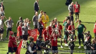 勒沃库森今年为何如此之猛